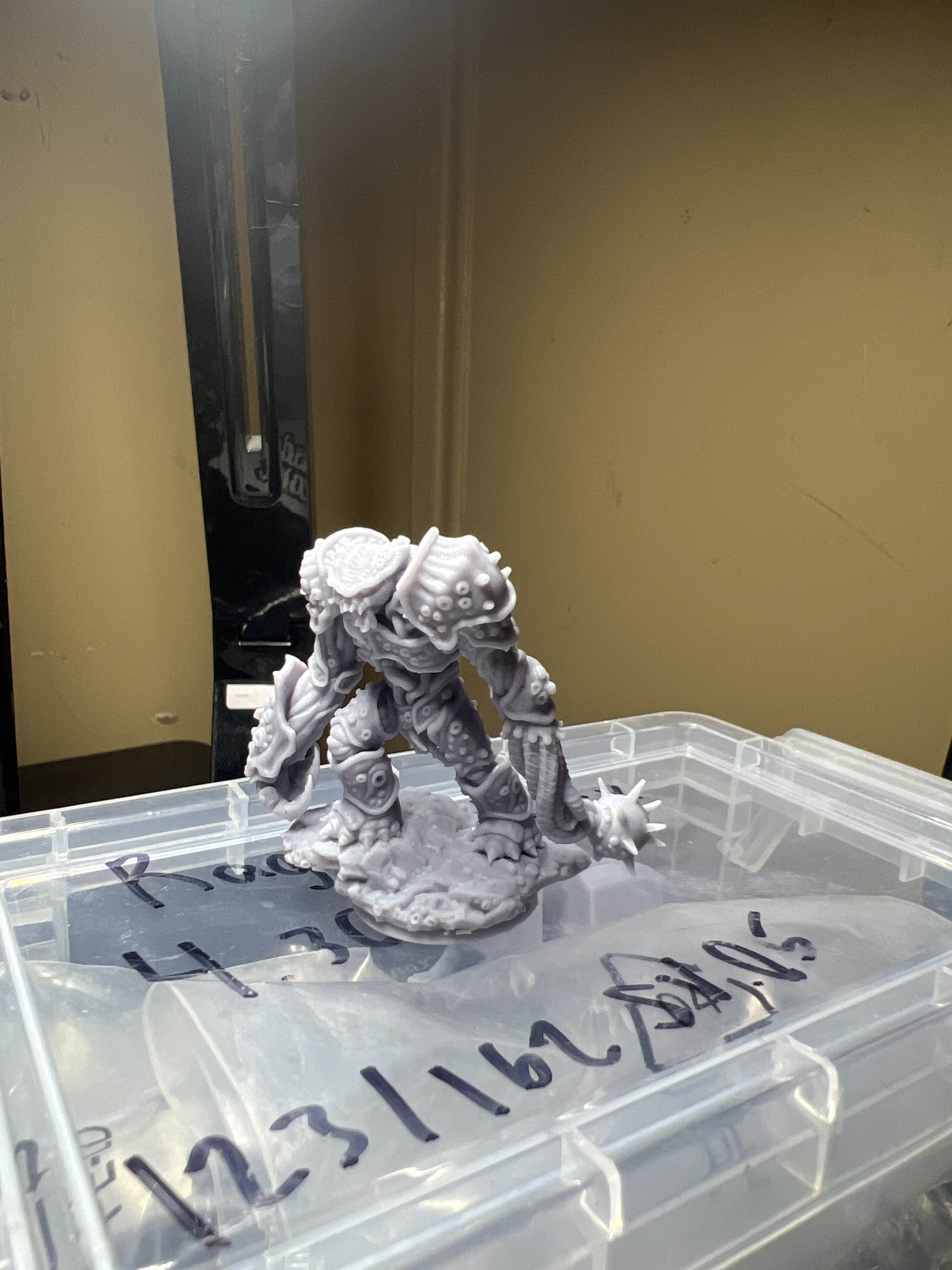 Salt Revenant 25mm - 3D Printed Flesh Of Gods