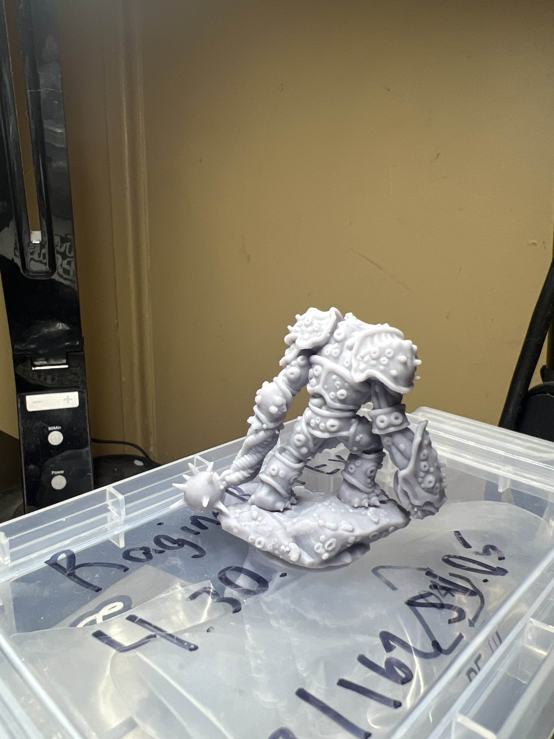 Salt Revenant 25mm - 3D Printed Flesh Of Gods